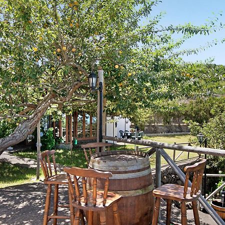 Finca Las Carmenes Icod De Los Vinos Exterior photo