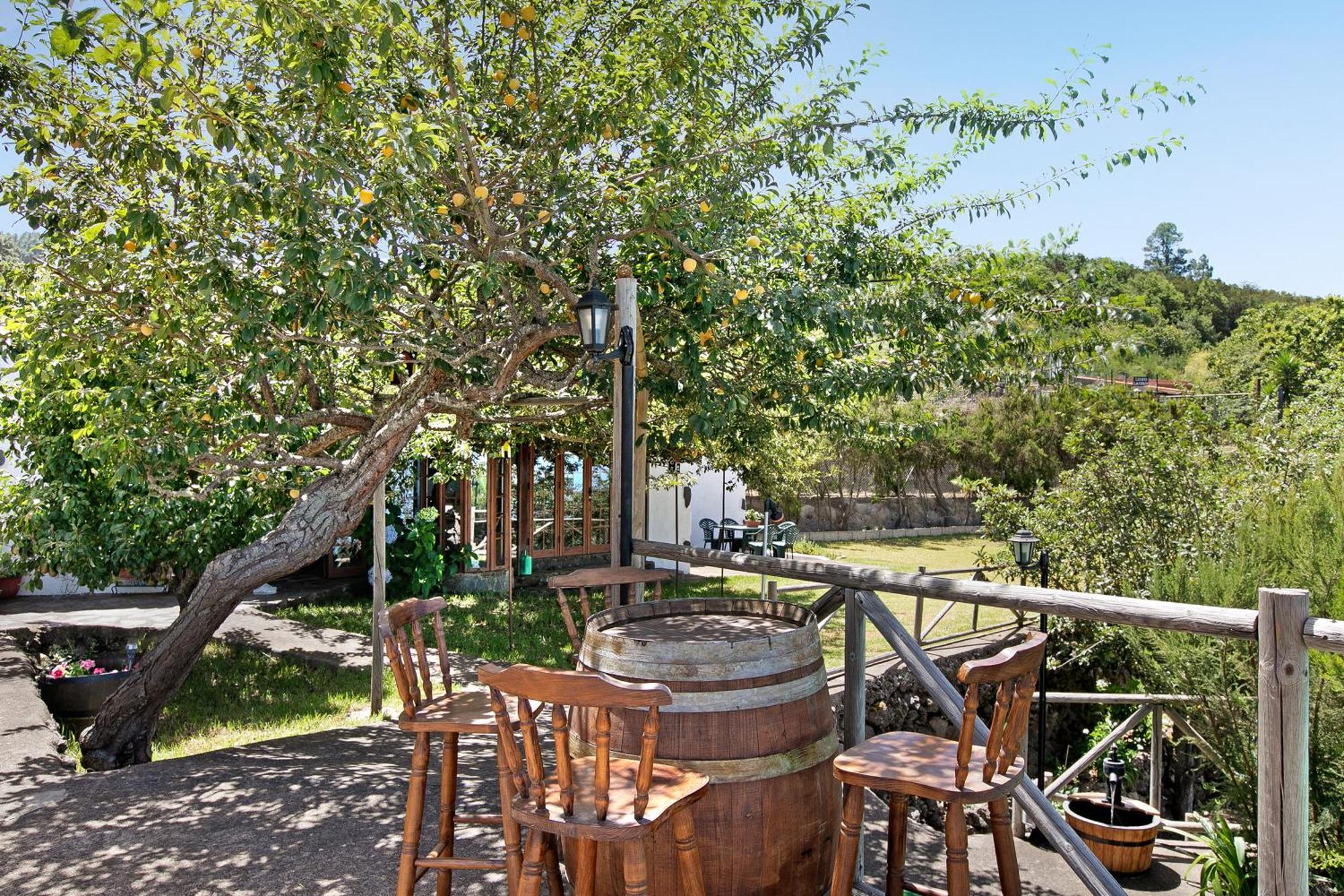 Finca Las Carmenes Icod De Los Vinos Exterior photo